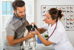 Лучшие специалисты