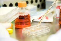 Лаборатория 